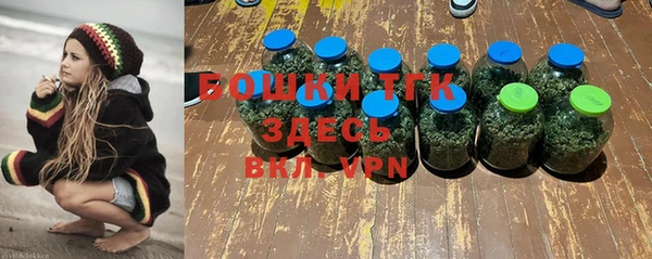 MESCALINE Горняк
