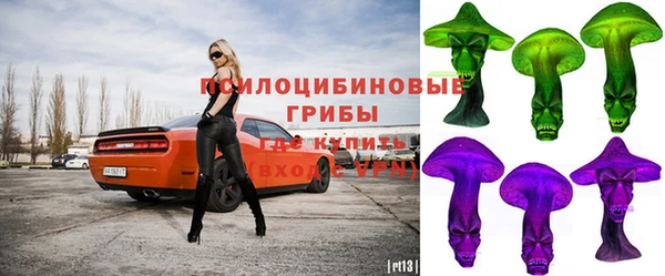 ешки Горнозаводск