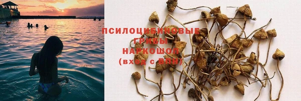 ешки Горнозаводск
