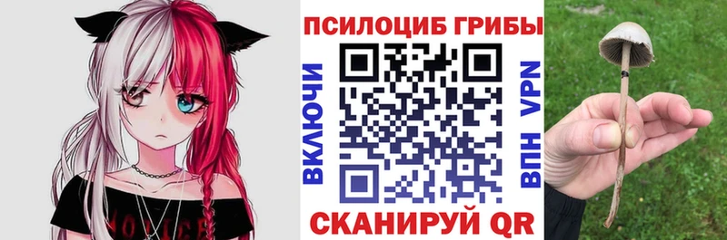 Псилоцибиновые грибы MAGIC MUSHROOMS Купить закладки Кувшиново
